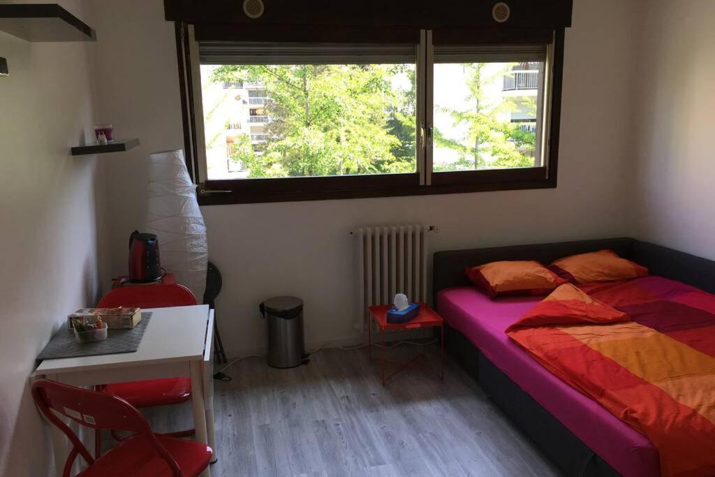 Studio Proche Du Lac-Triangle D'Or Apartment Annecy Bagian luar foto